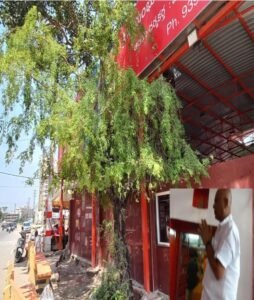 Rangareddy: జమ్మిచెట్టు ప్రాముఖ్యతను వివరించిన ధర్మకర్త మారబోయిన సందీప్ యాదవ్
